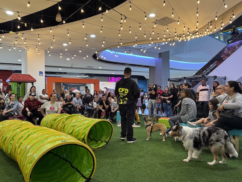 Eventos y clases Pet Friendly